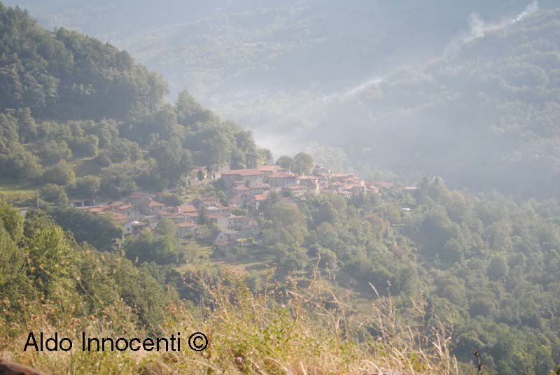 VILLA DI SORAGGIO: PANORAMA 2' IMMAGINE